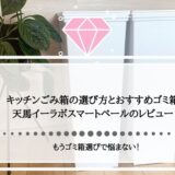もうゴミ箱選びで悩まない！キッチンごみ箱の選び方とおすすめゴミ箱天馬イーラボスマートペールのレビュー